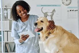 Benefits of Pet Insurance